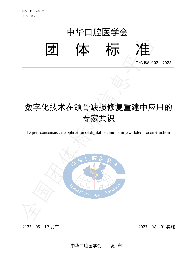 T/CHSA 002-2023 标准预览