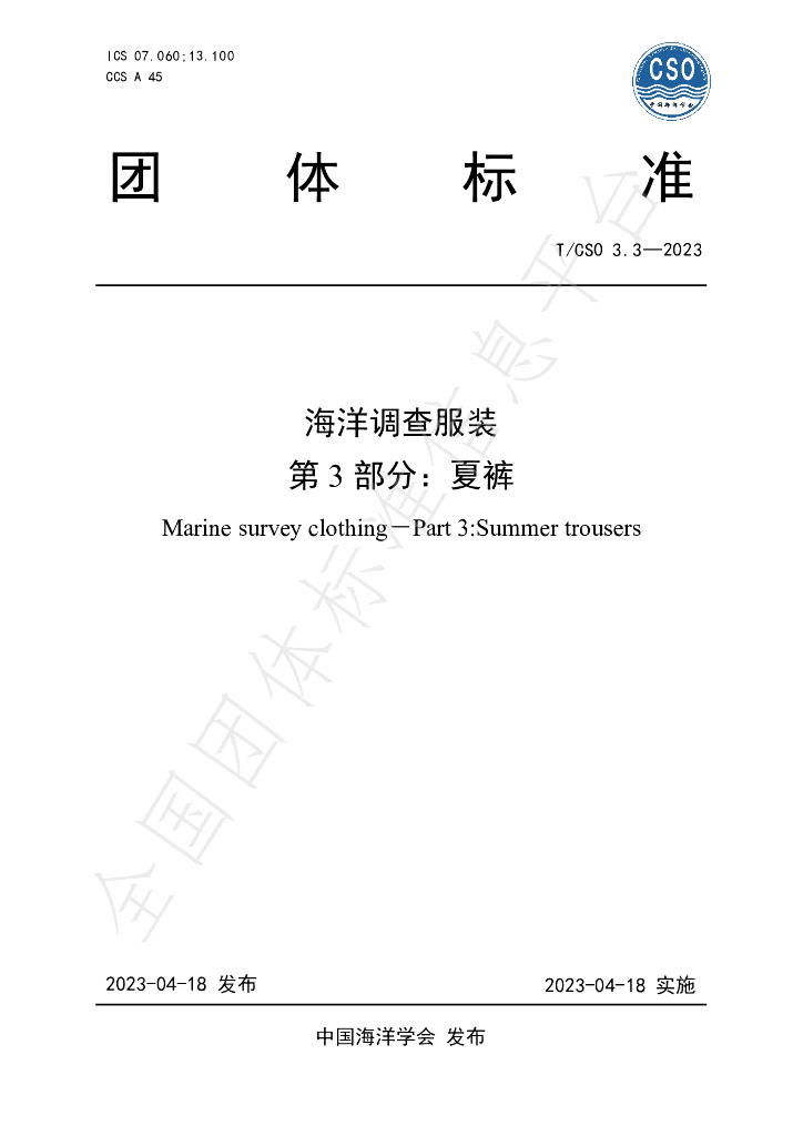 T/CSO 3.3-2023 标准预览