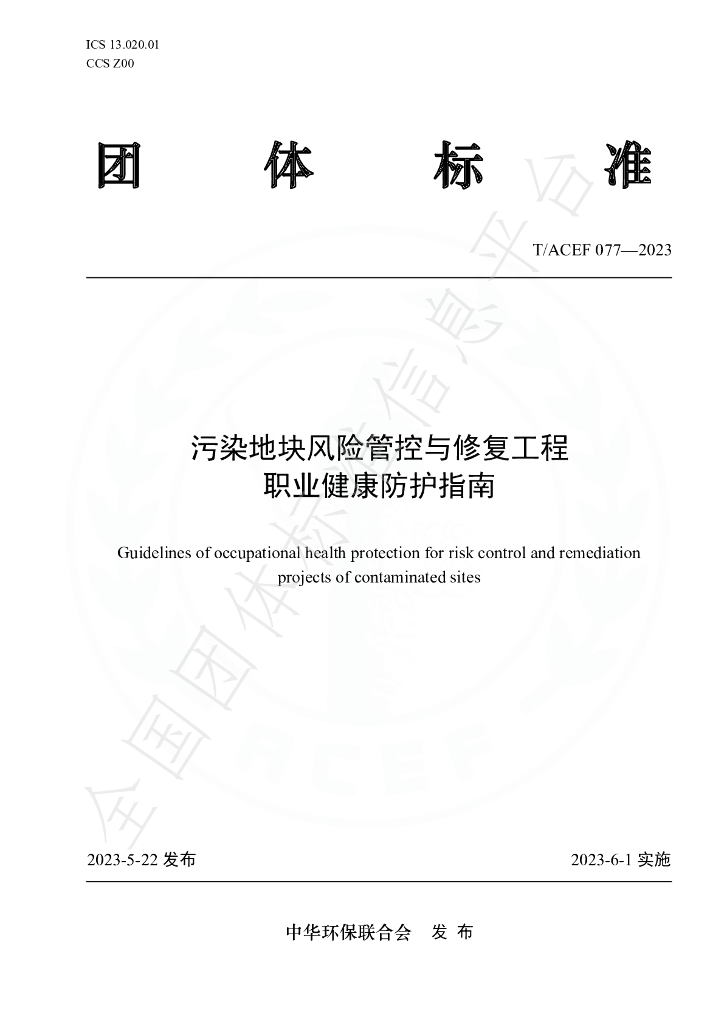 T/ACEF 077-2023 标准预览