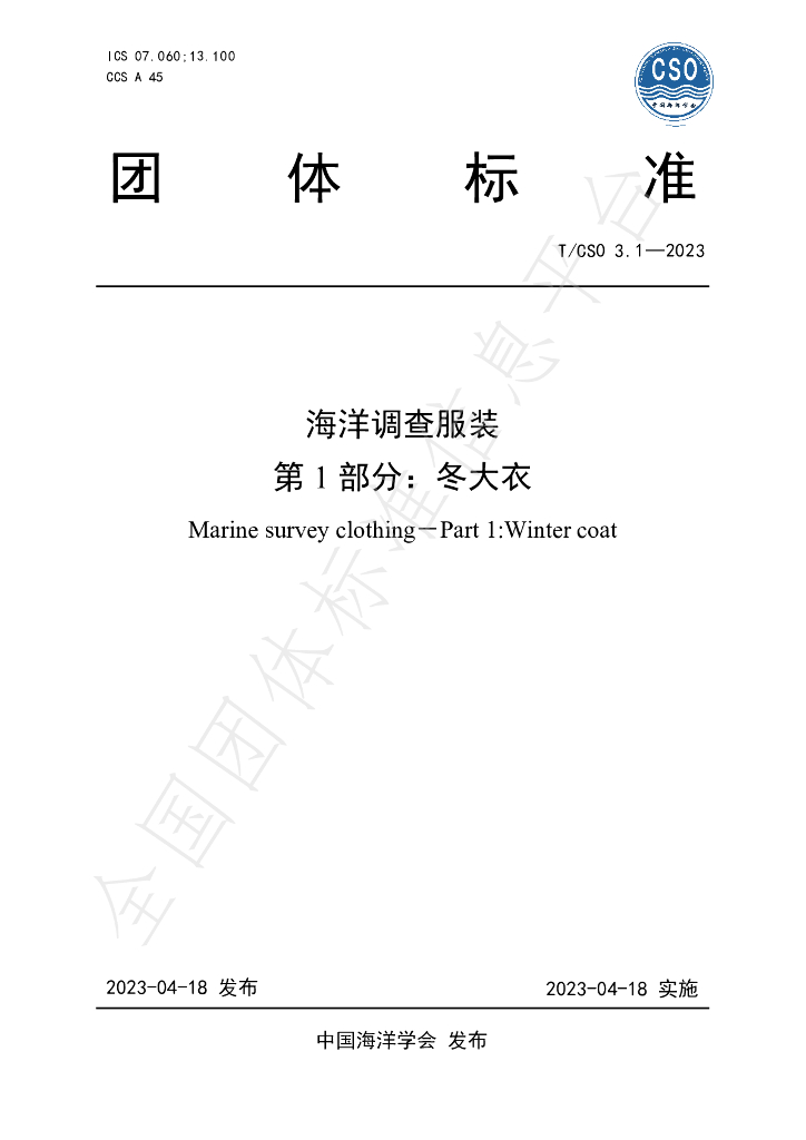 T/CSO 3.1-2023 标准预览