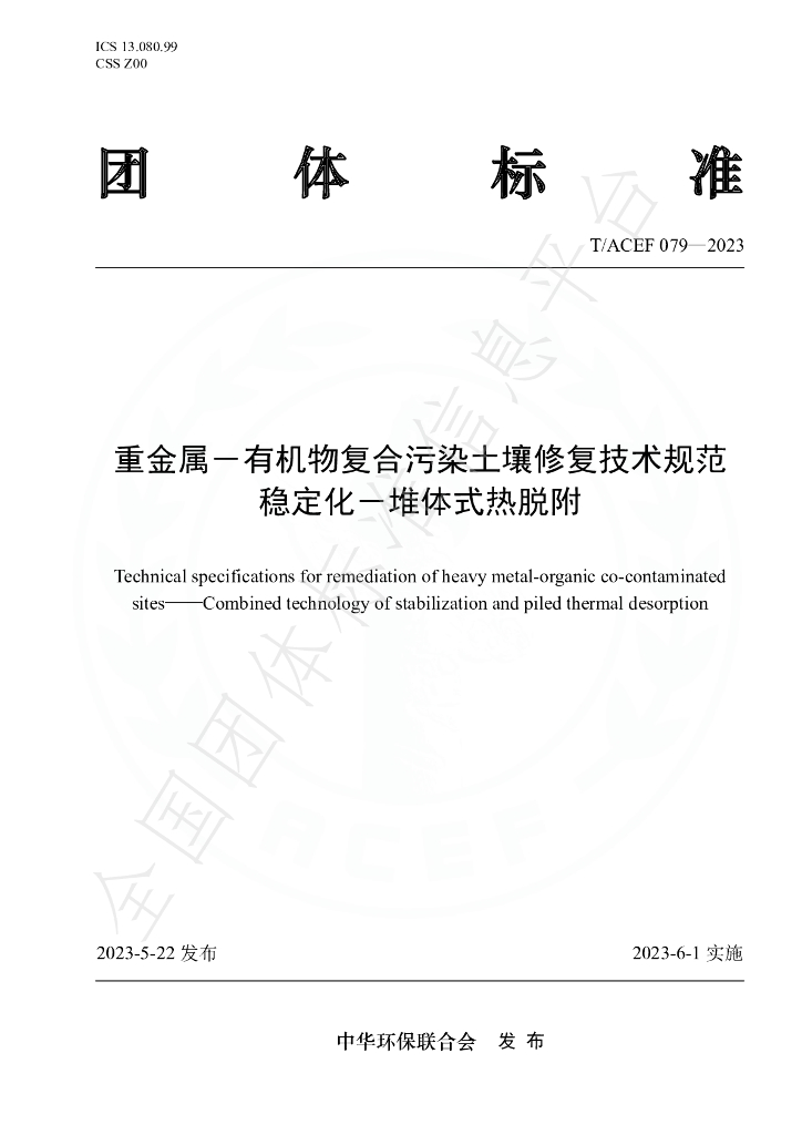 T/ACEF 079-2023 标准预览