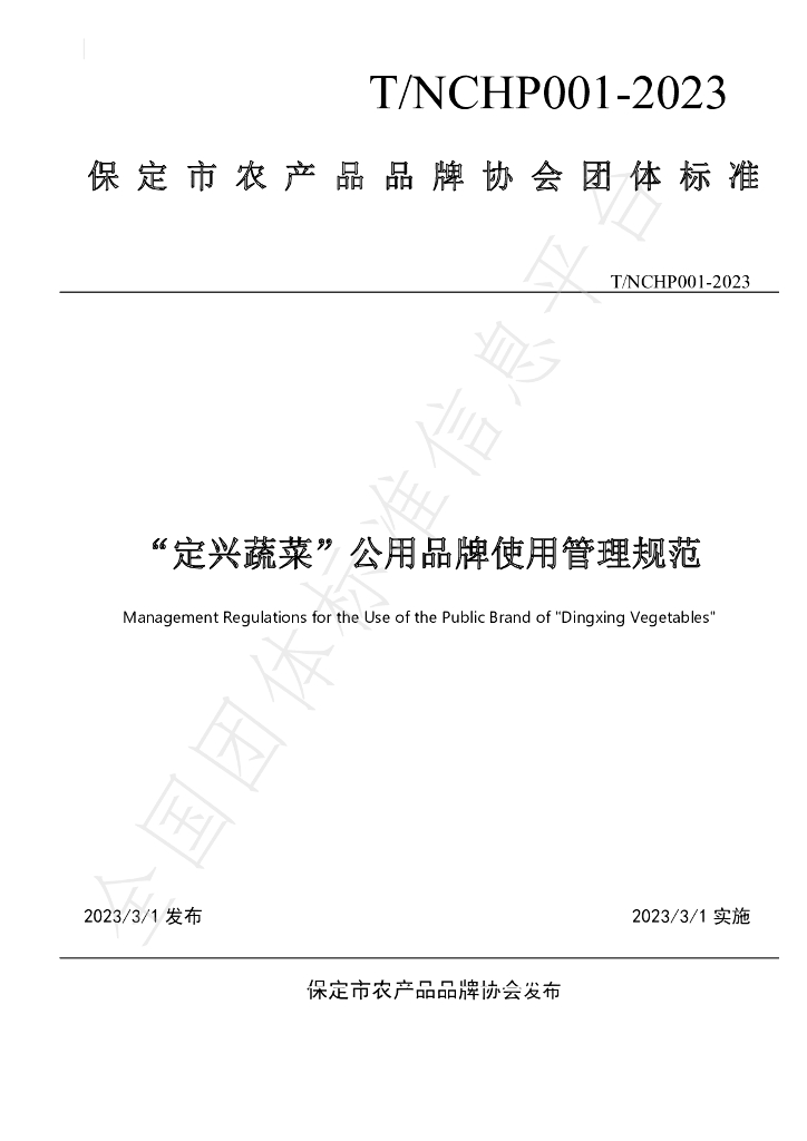 T/NCHP 001-2023 标准预览