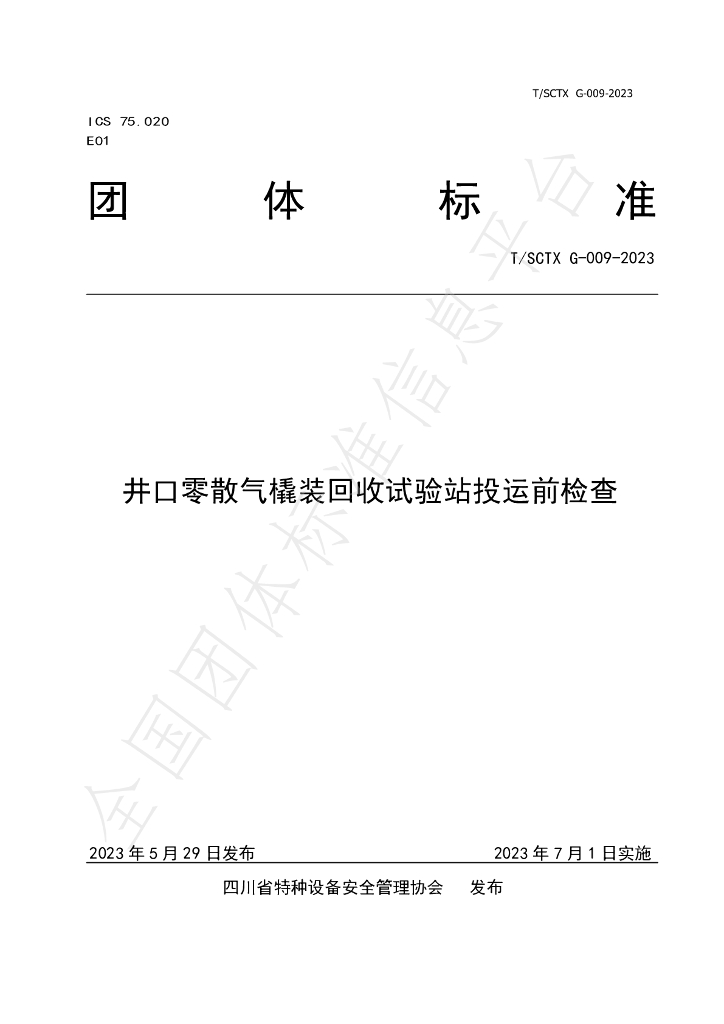 T/SCTX G009-2023 标准预览
