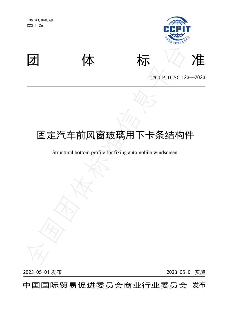 T/CCPITCSC 123-2023 标准预览
