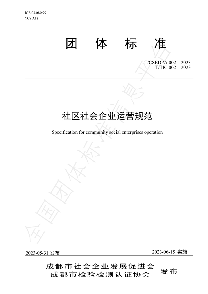T/CSEDPA 002-2023 标准预览