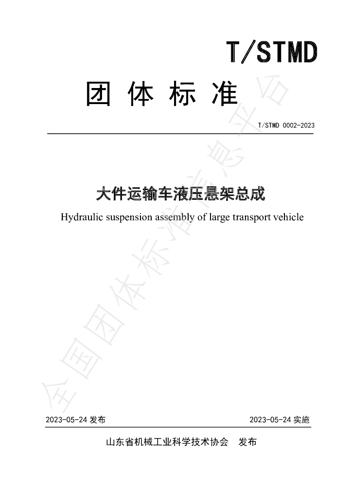T/SDMT 0002-2023 标准预览