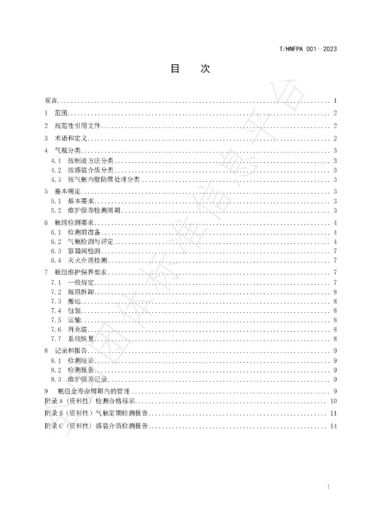 T/HNFPA 001-2023 标准预览