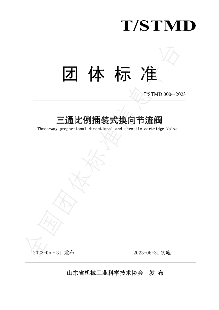 T/SDMT 0004-2023 标准预览