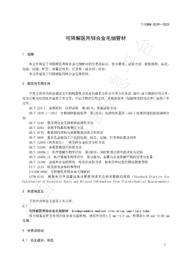 T/CSBM 0039-2023 标准预览