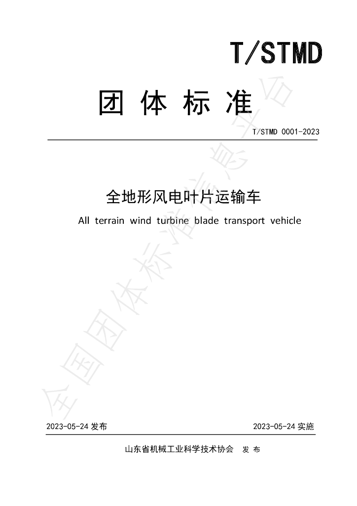 T/SDMT 0001-2023 标准预览