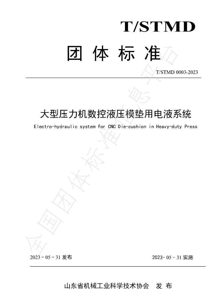 T/SDMT 0003-2023 标准预览
