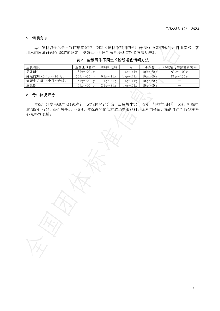 T/SAASS 106-2023 标准预览