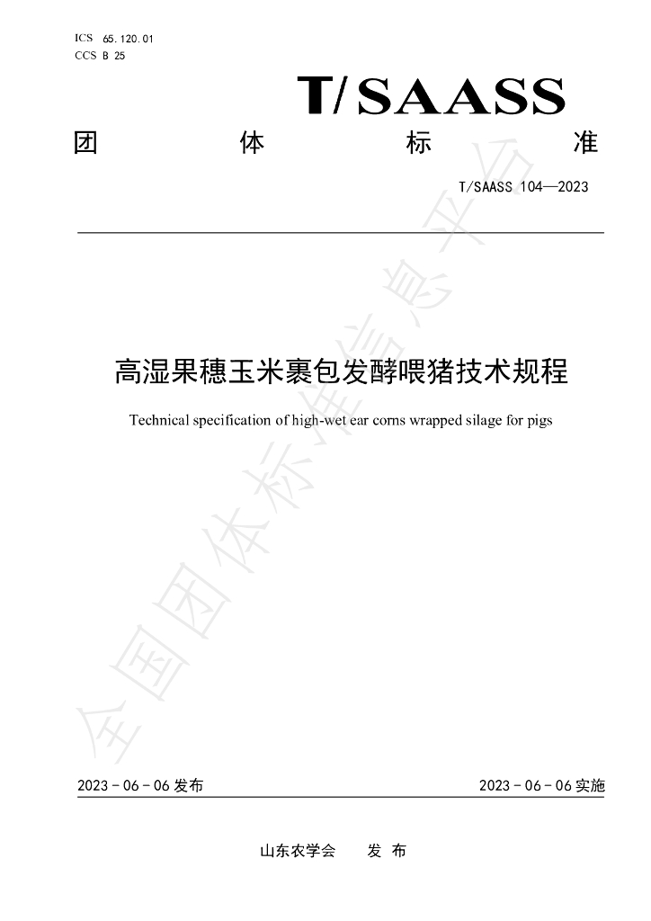 T/SAASS 104-2023 标准预览