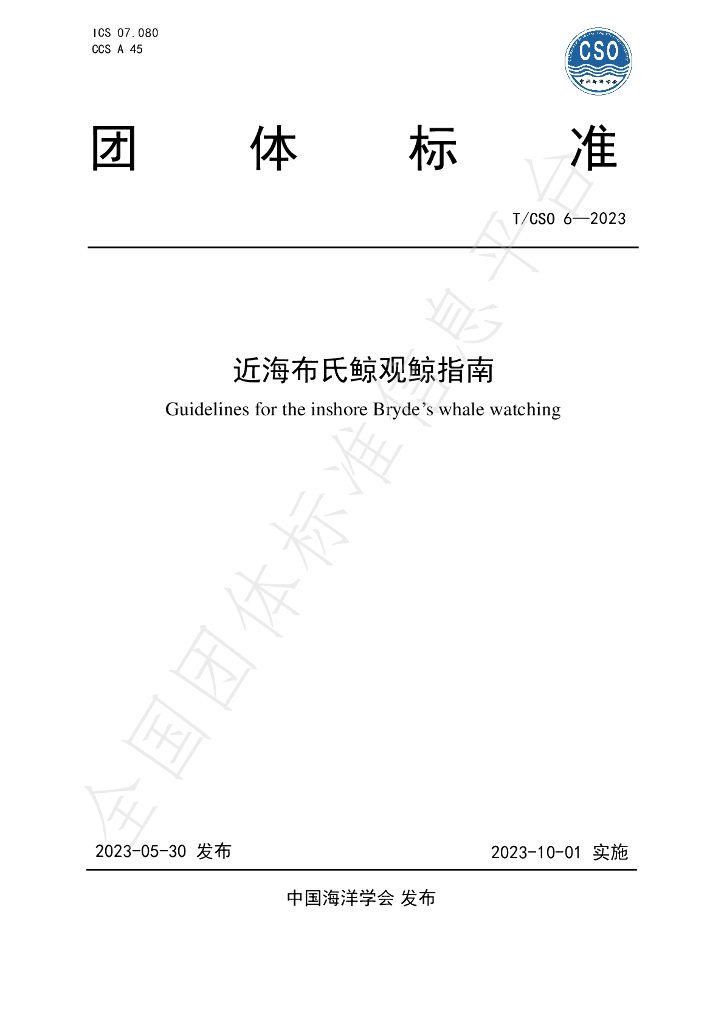 T/CSO 6-2023 标准预览