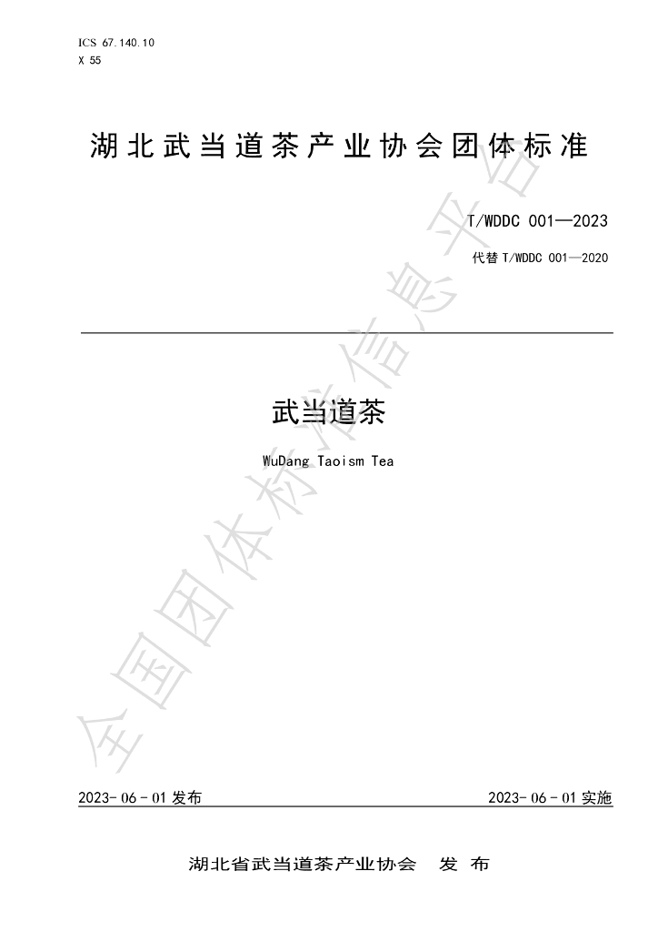 T/WDDC 001-2023 标准预览