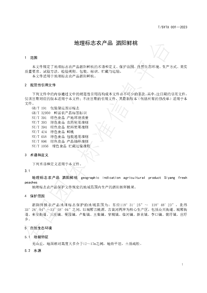 T/SYTX 001-2023 标准预览