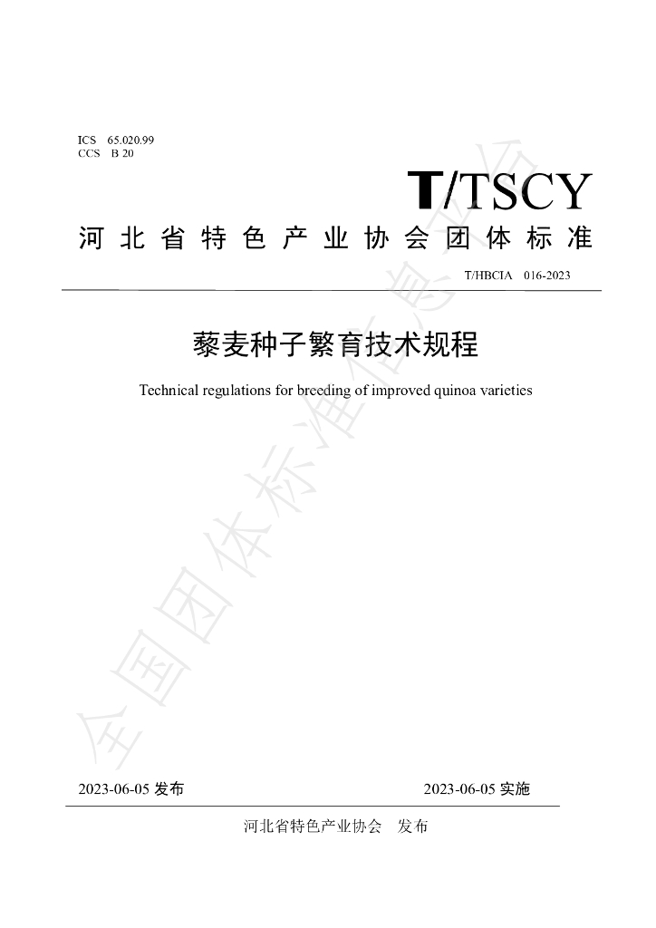 T/HBCIA 016-2023 标准预览