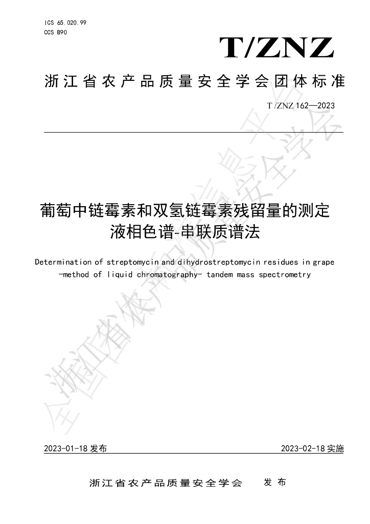 T/ZNZ 162-2023 标准预览