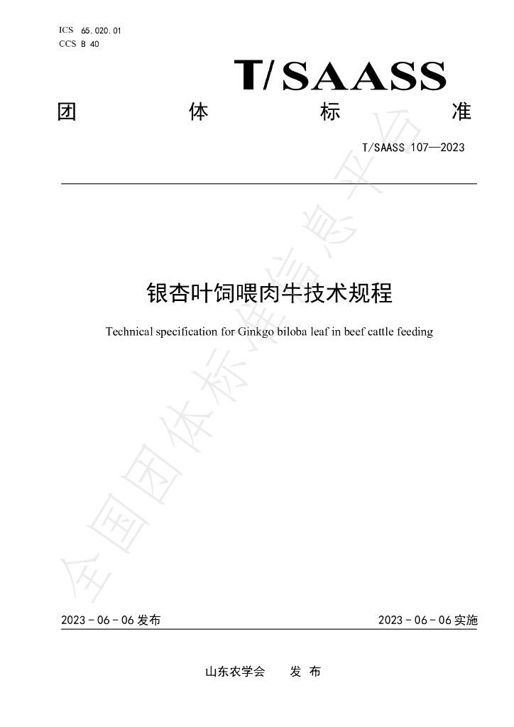 T/SAASS 107-2023 标准预览