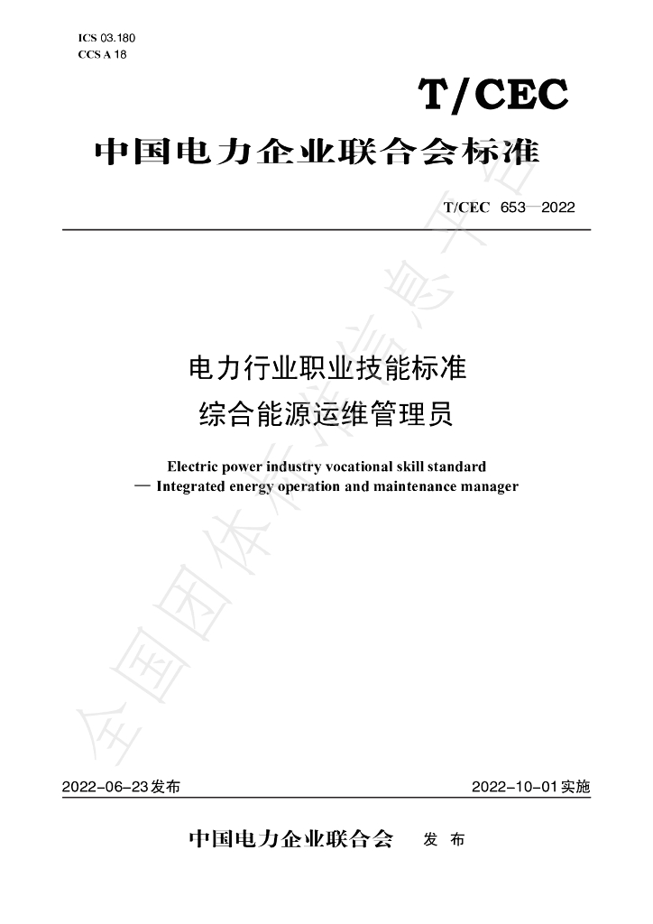 T/CEC 653-2022 标准预览