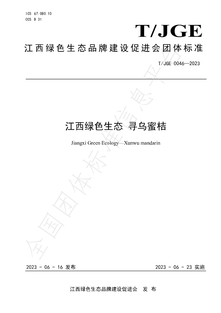 T/JGE 0046-2023 标准预览