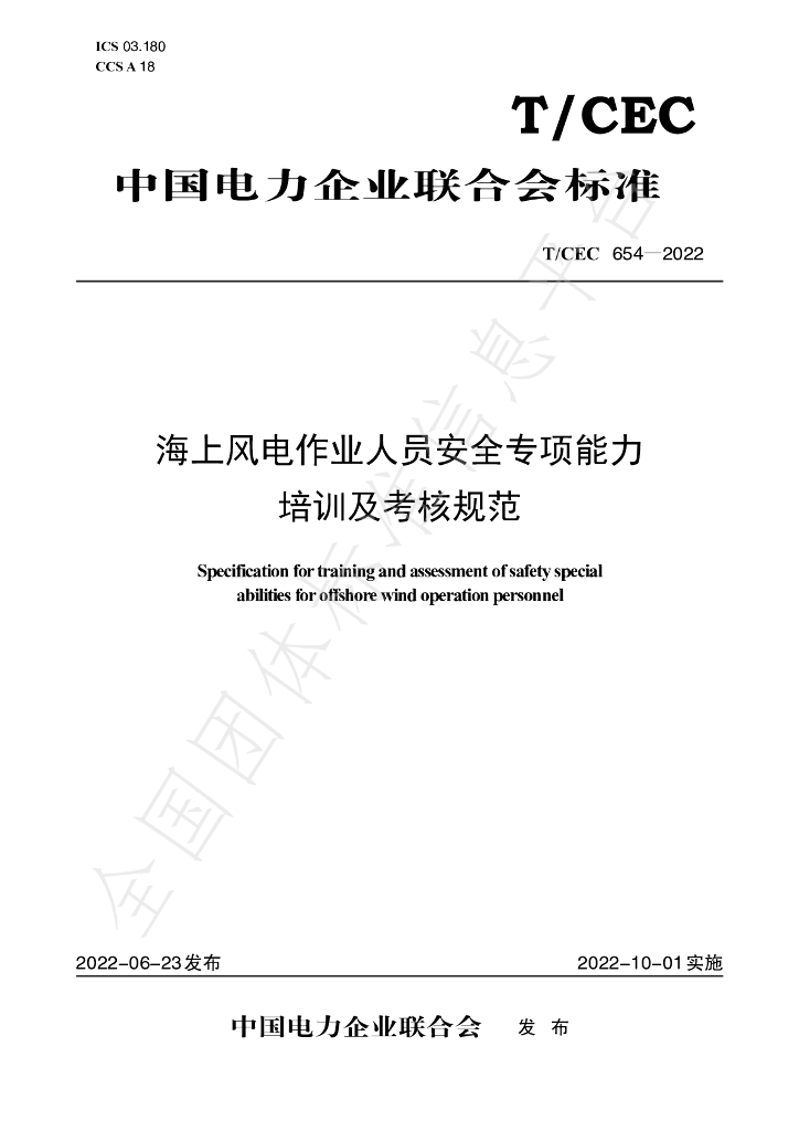 T/CEC 654-2022 标准预览