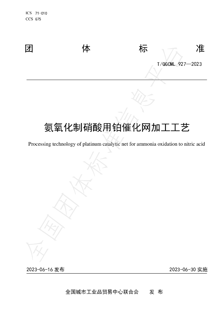 T/QGCML 927-2023 标准预览