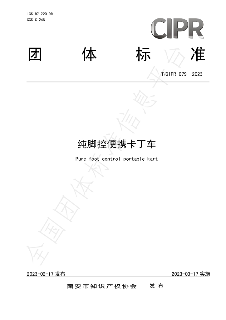 T/CIPR 079-2023 标准预览