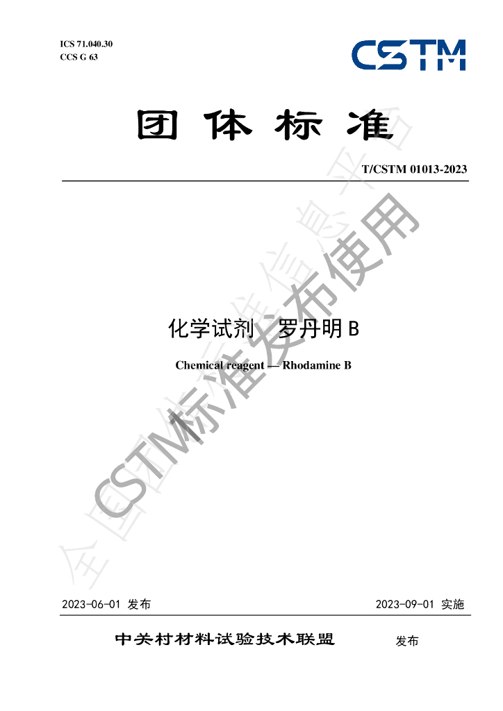 T/CSTM 01013-2023 标准预览