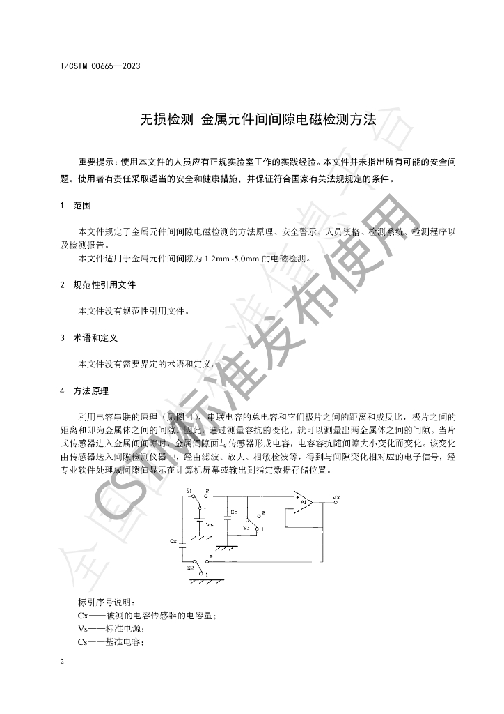 T/CSTM 00665-2023 标准预览