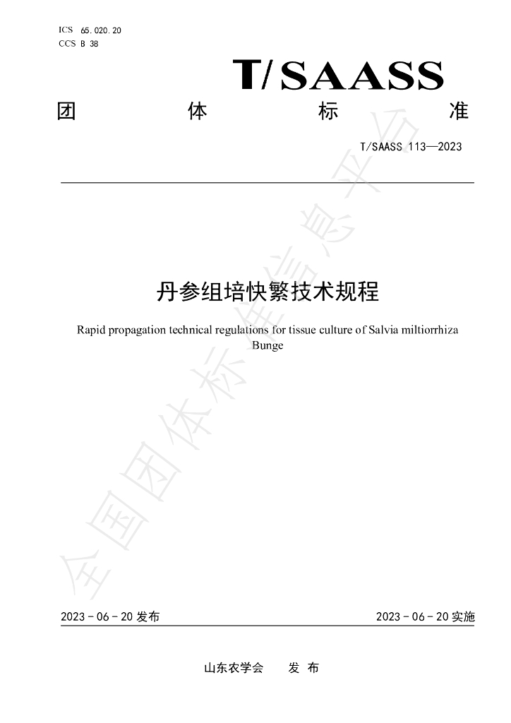 T/SAASS 113-2023 标准预览
