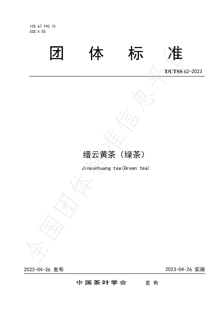 T/CTSS 62-2023 标准预览