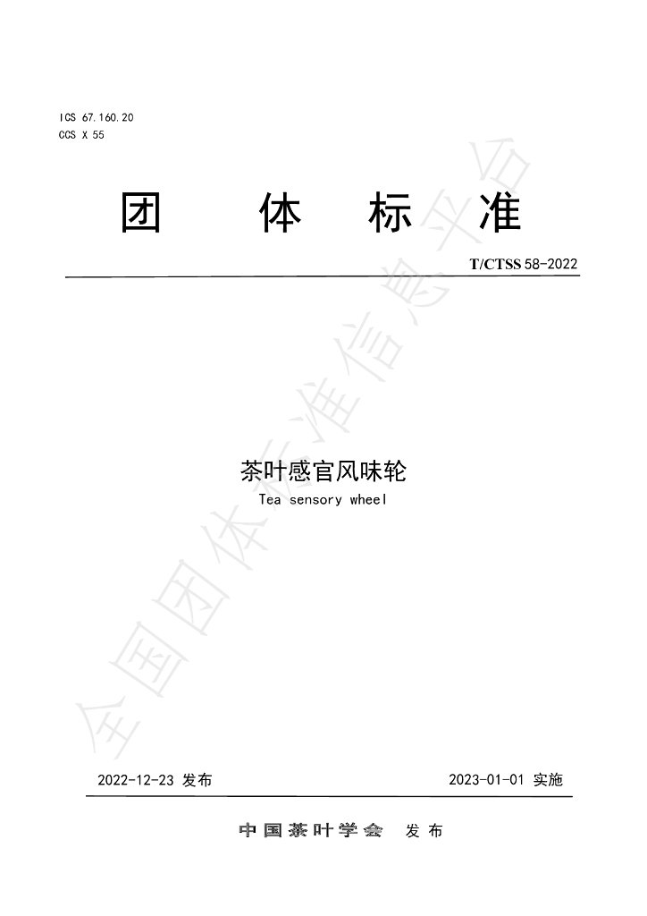 T/CTSS 58-2022 标准预览