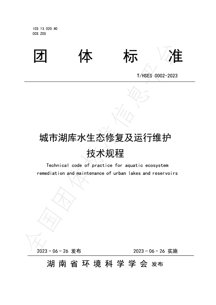 T/HSES 0002-2023 标准预览