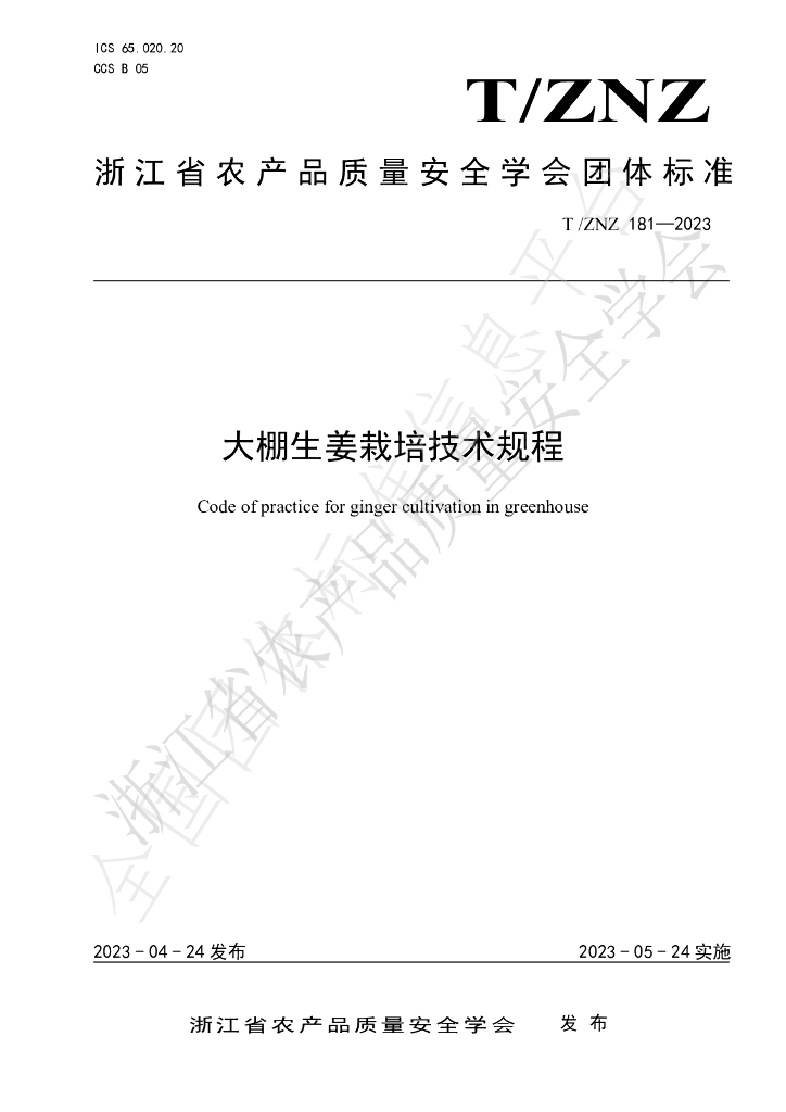 T/ZNZ 181-2023 标准预览