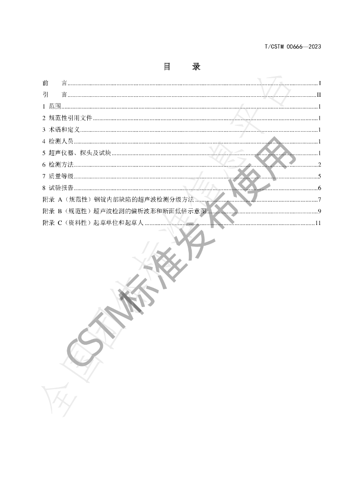 T/CSTM 00666-2023 标准预览