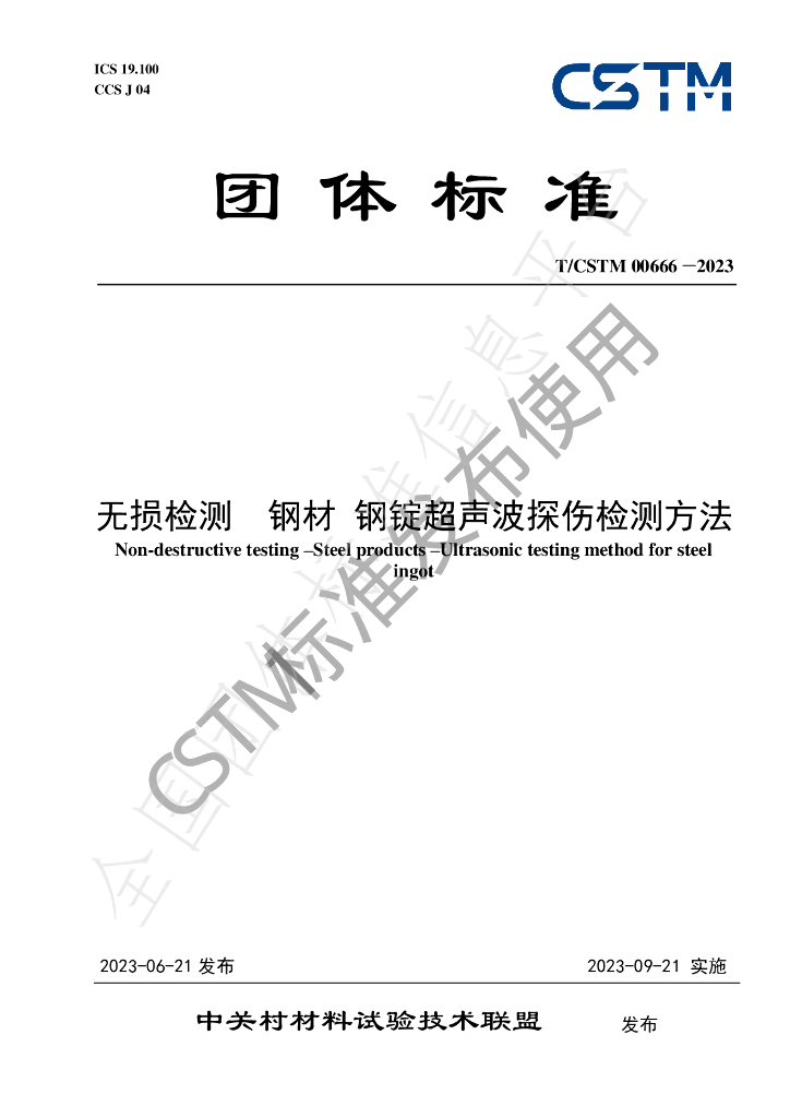 T/CSTM 00666-2023 标准预览