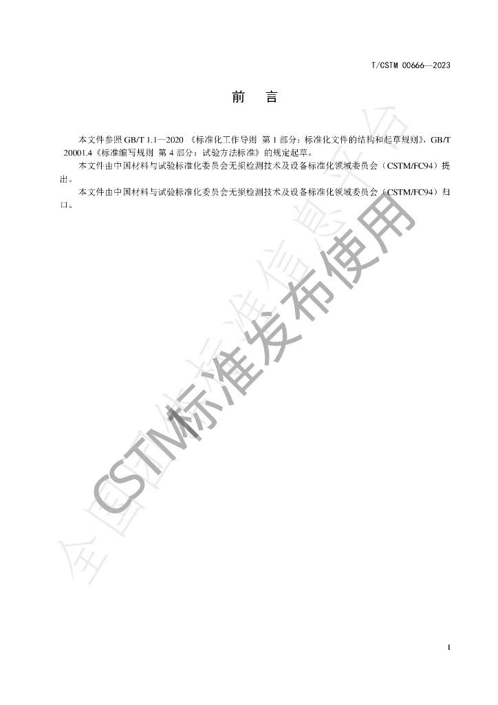 T/CSTM 00666-2023 标准预览