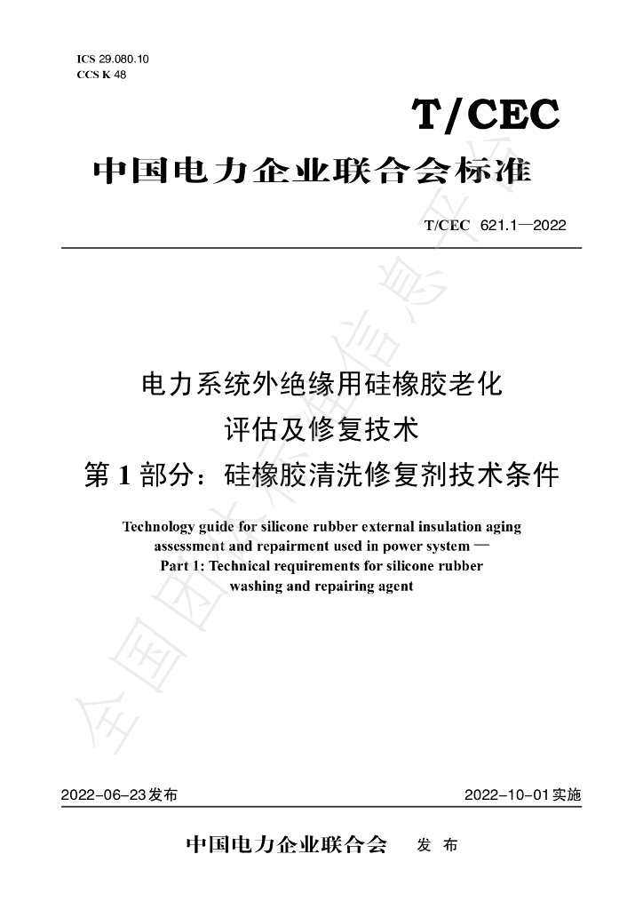 T/CEC 621.1-2022 标准预览