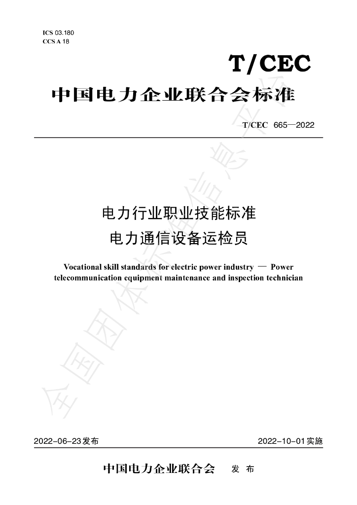 T/CEC 665-2022 标准预览