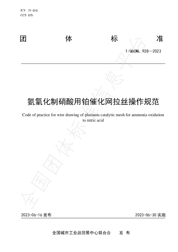 T/QGCML 928-2023 标准预览