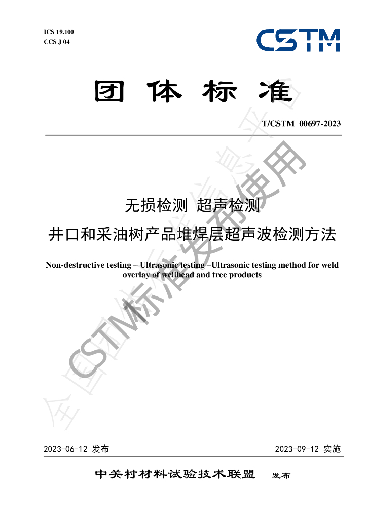 T/CSTM 00697-2023 标准预览