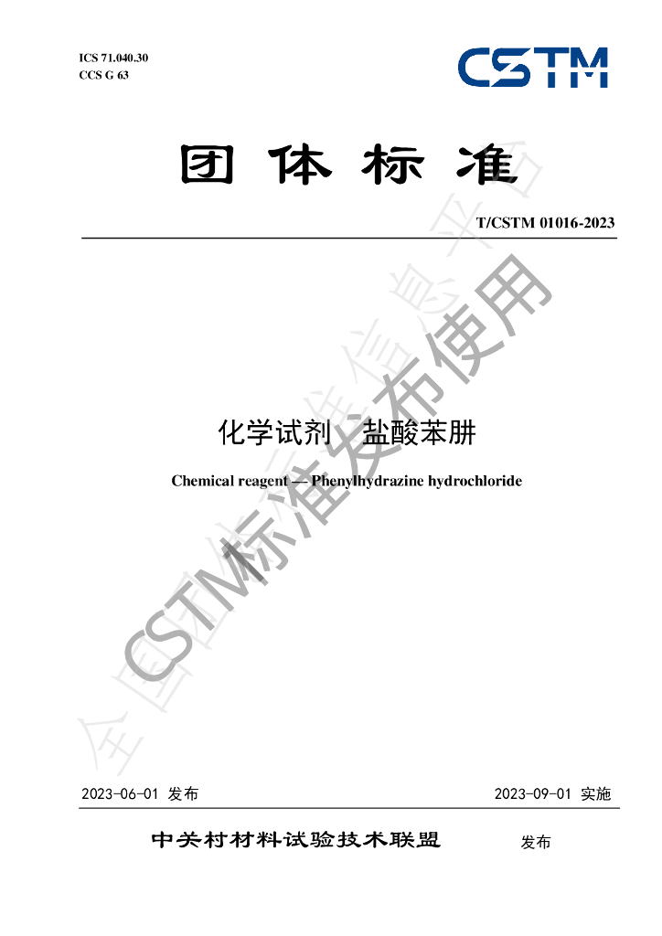 T/CSTM 01016-2023 标准预览