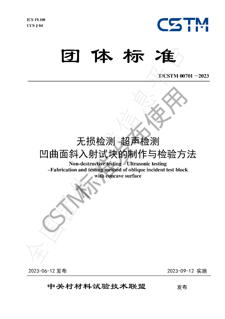 T/CSTM 00701-2023 标准预览