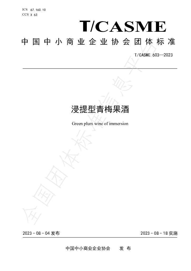T/CASME 603-2023 标准预览