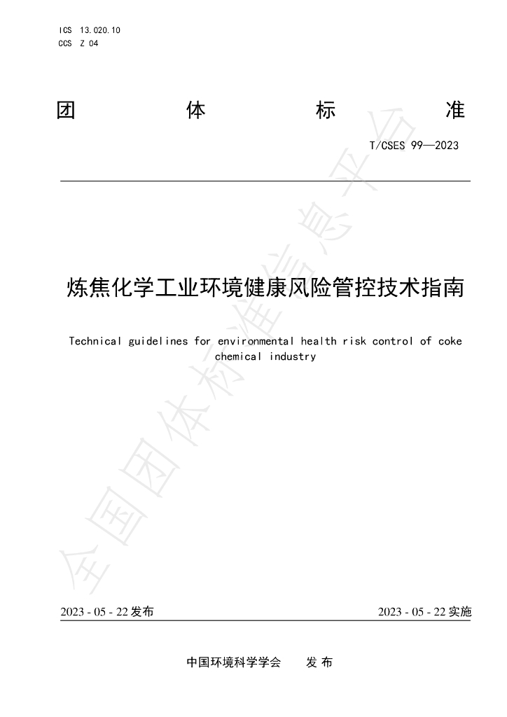 T/CSES 99-2023 标准预览