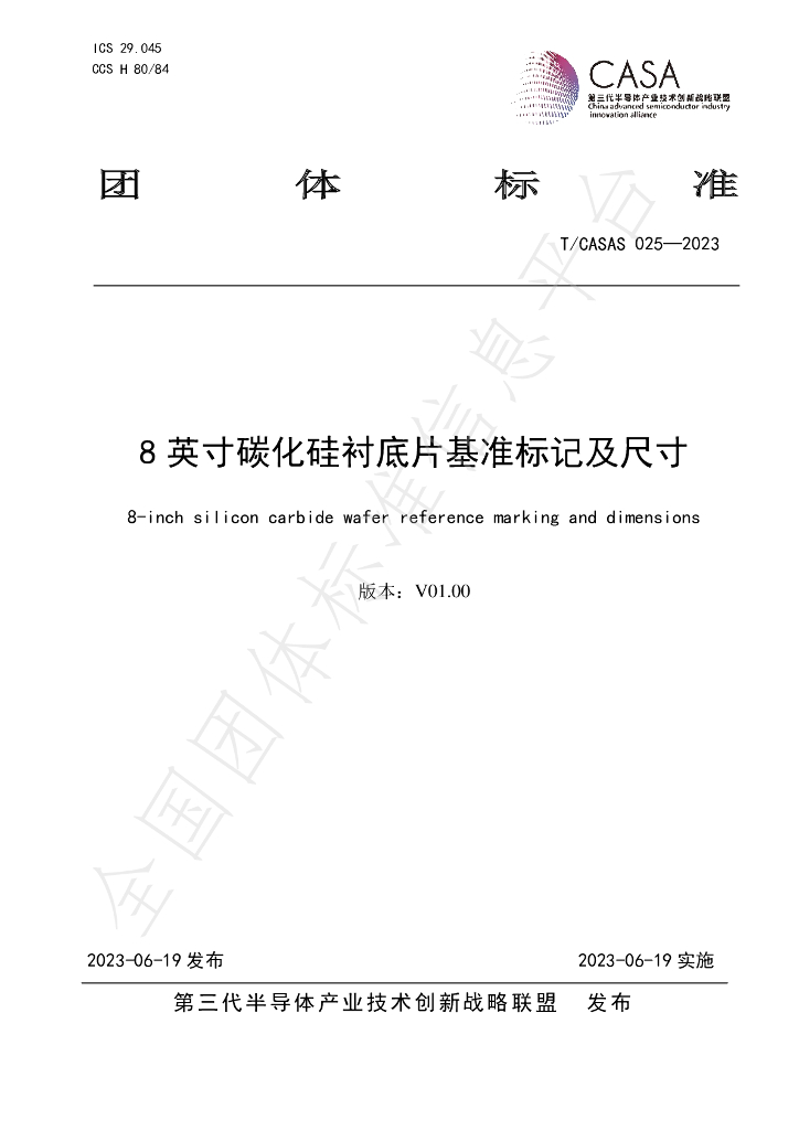 T/CASAS 025-2023 标准预览