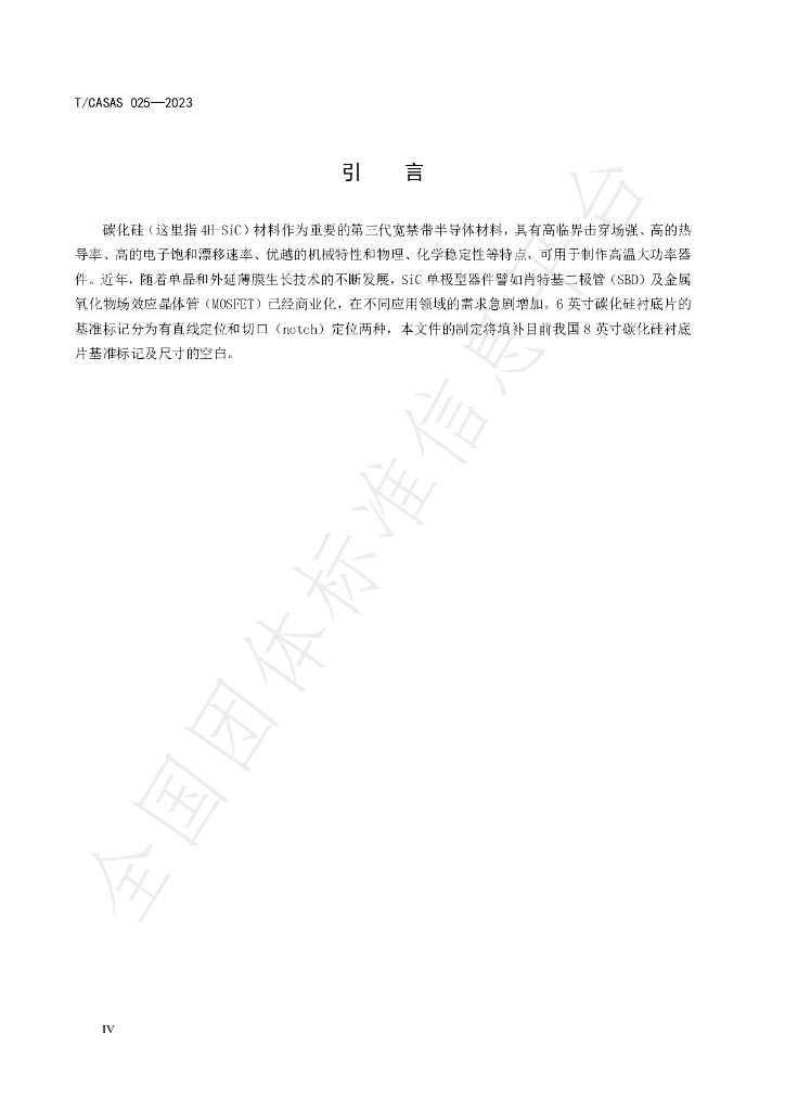 T/CASAS 025-2023 标准预览