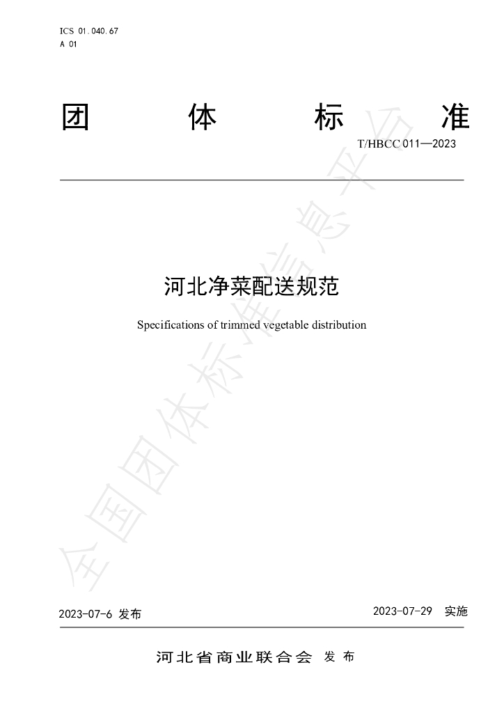 T/HBCC 011-2023 标准预览