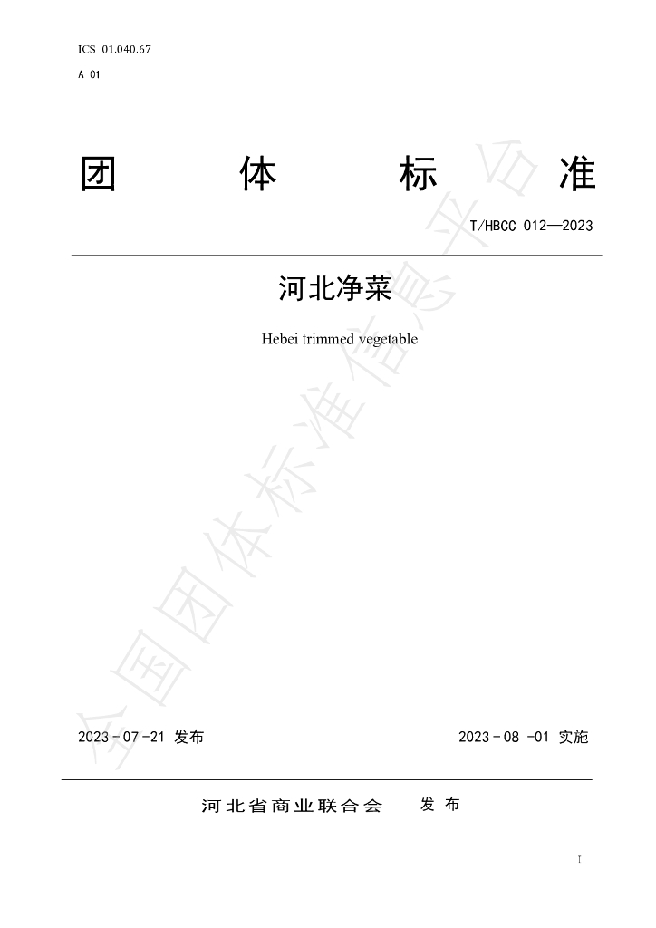T/HBCC 012-2023 标准预览